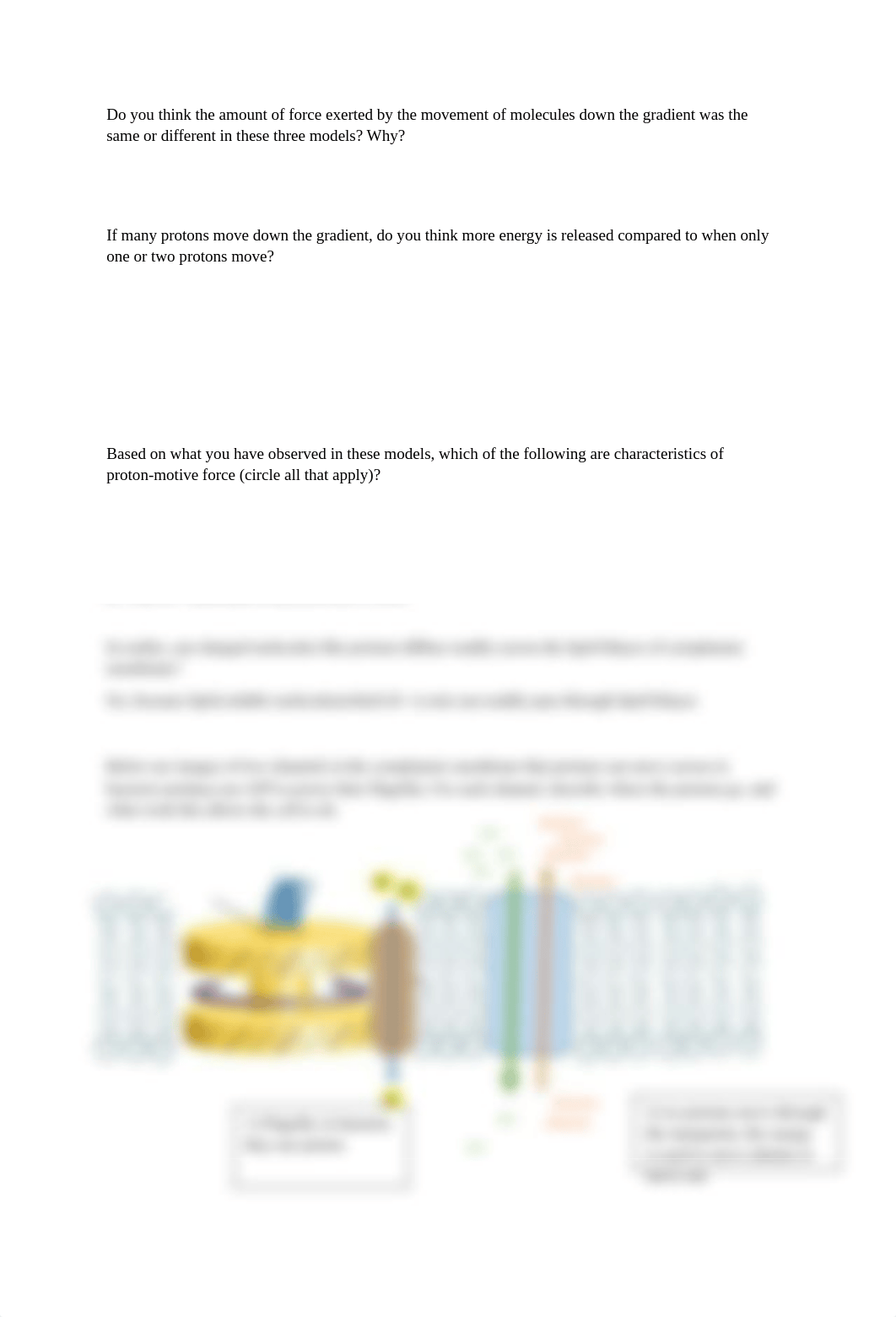 Oxidative phosphorylation worksheet-1 (1).docx_d26toqvwnpt_page2