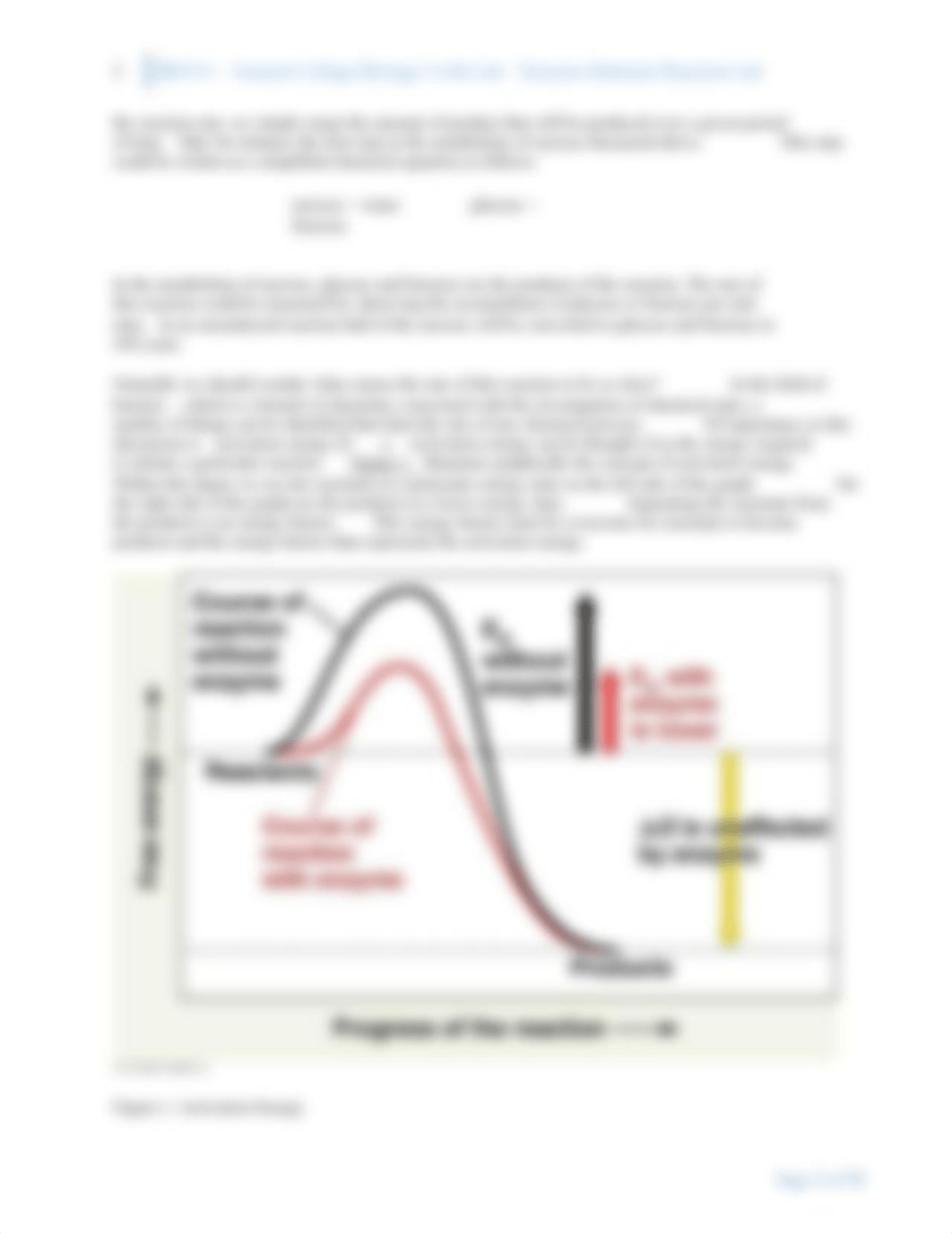 BIO111-Lab-6-Enzyme-Substrate Reaction (2)_d273mtkx4tu_page2