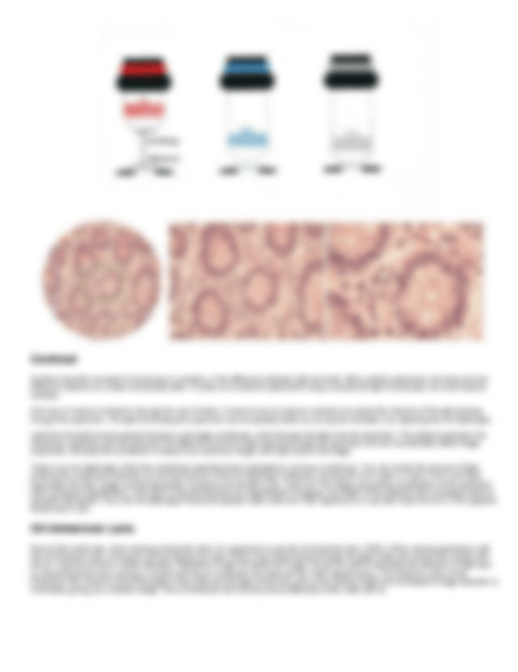 Lab 5_ Microscopy.pdf_d279yc2rg8f_page2