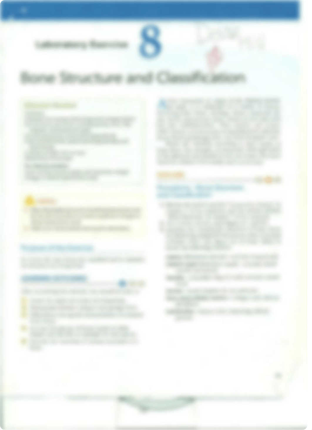 Chapter 8 Bone Structure and Classification_d27k9novxyl_page1