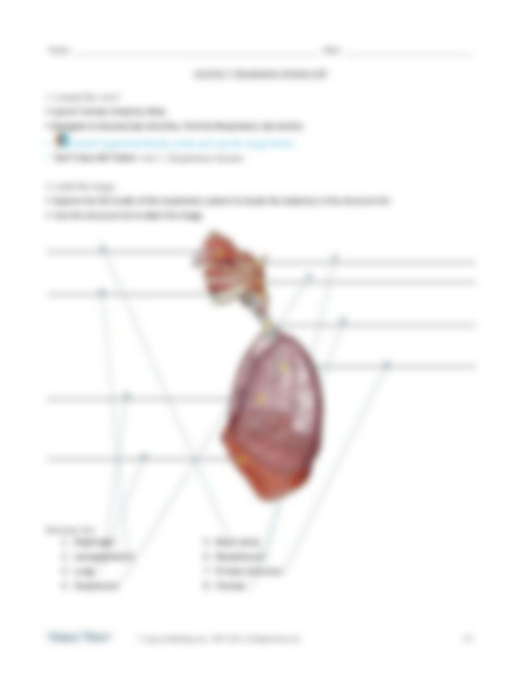 Week #8 - Augmented Reality Lab Activity - Respiration.pdf_d27kb20kbq7_page3