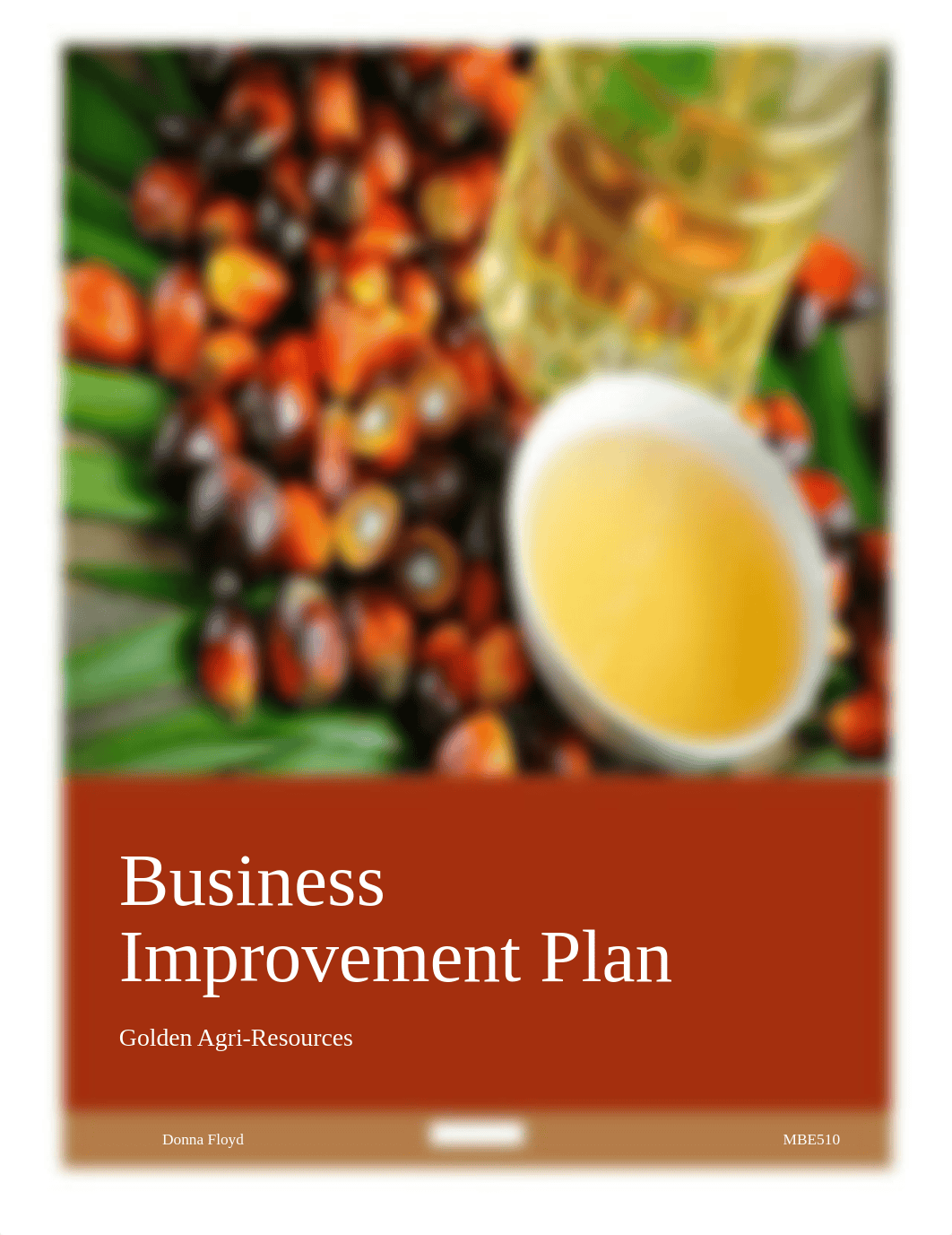 Business Improvement Plan.docx_d27m83zgqvf_page1