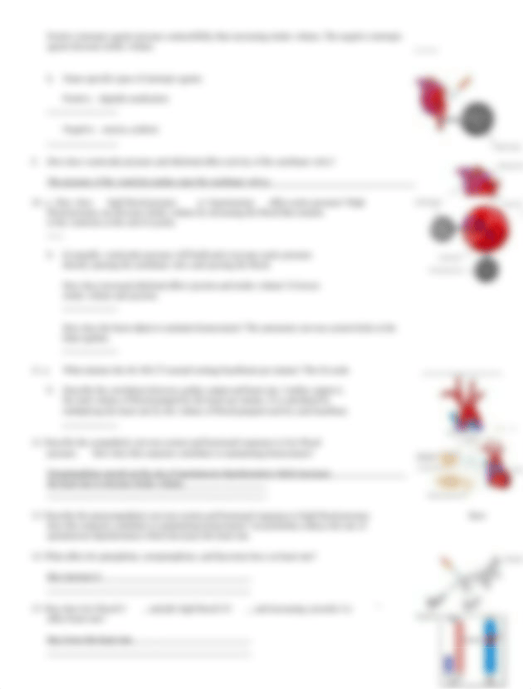 cardiac output.doc_d27v9cwva9w_page2