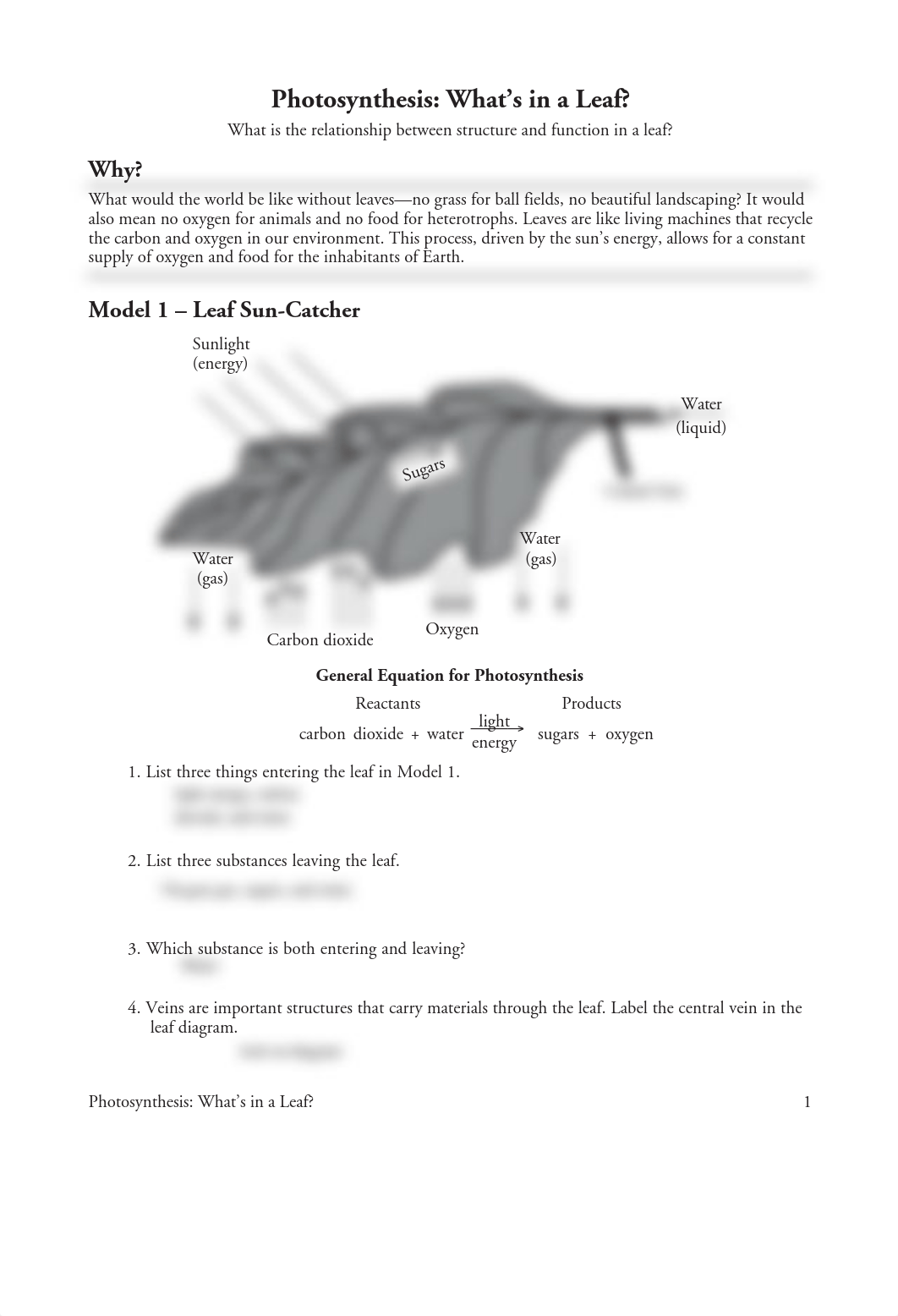 Thaibri Rogers - 12 Photosynthesis-What's in a Leaf-S (1).pdf_d281i3rk75a_page1