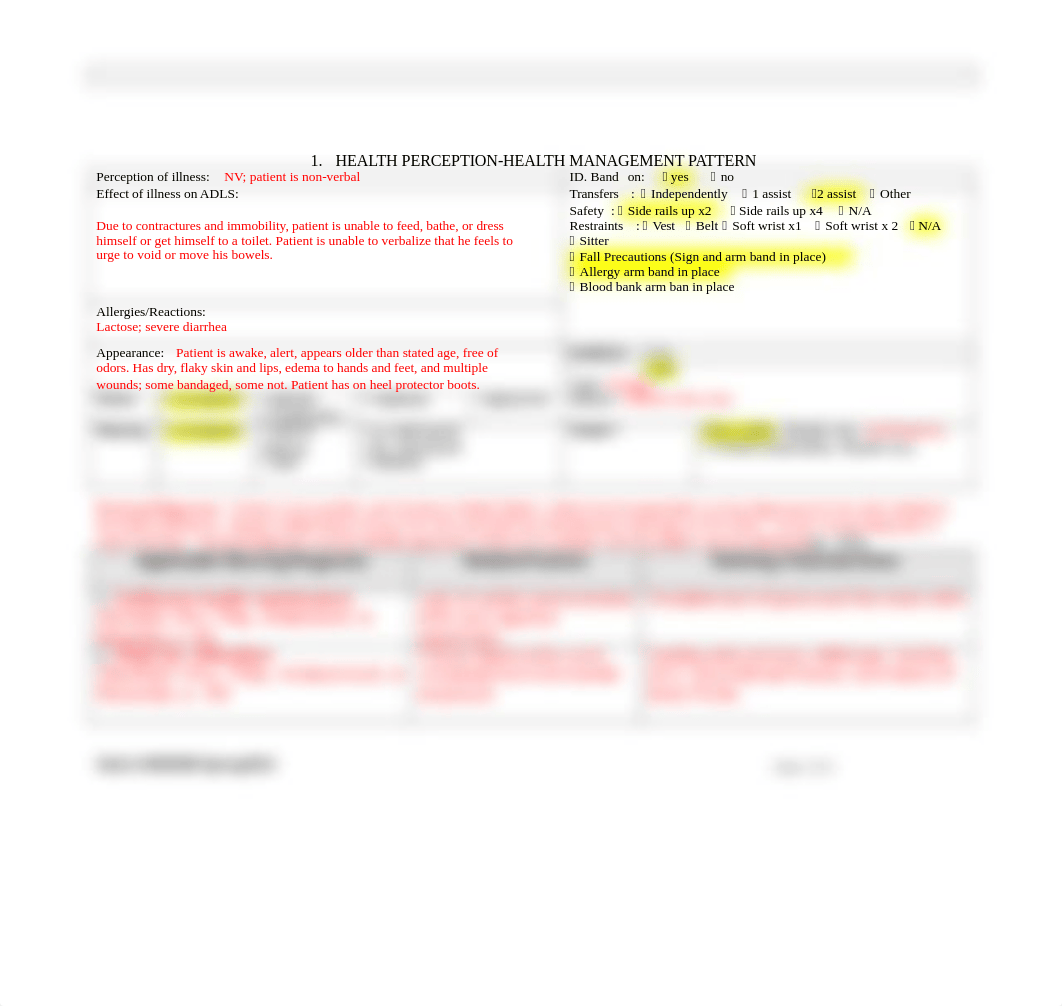 MedSurg Care Plan #1.doc_d2838iyze51_page2