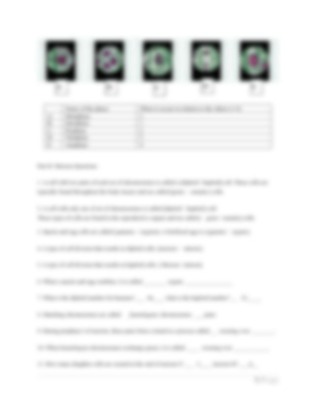 LA11-Cell Division Lab Assignment (1).docx_d28eou41sg7_page3