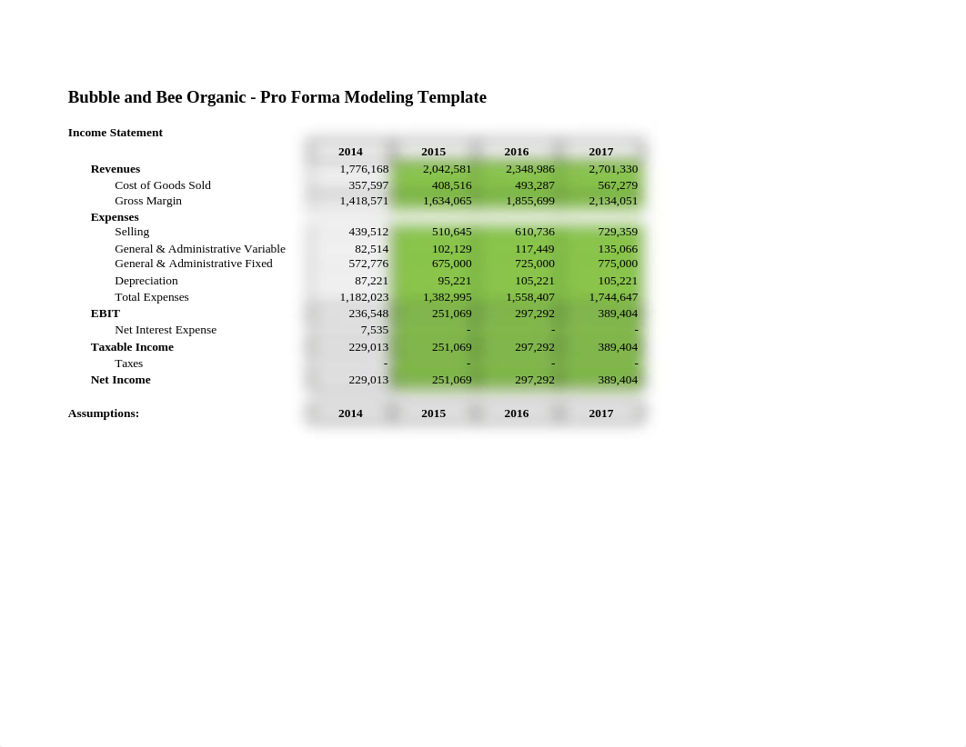 Bubble & Bee Forecasting - Sheyla Rivera.xlsx_d28rwhs7953_page1