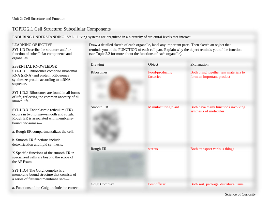 REVIEW - Unit 2_ Cell Structure and Function.docx_d28ujeqk0oc_page1