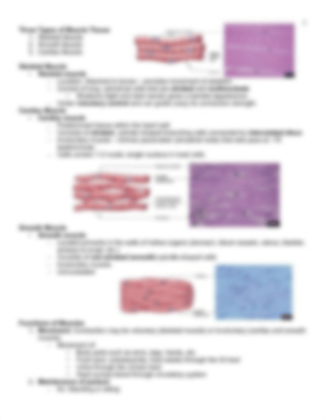 Muscular System, Chapter 10.pdf_d294eokk0w3_page3