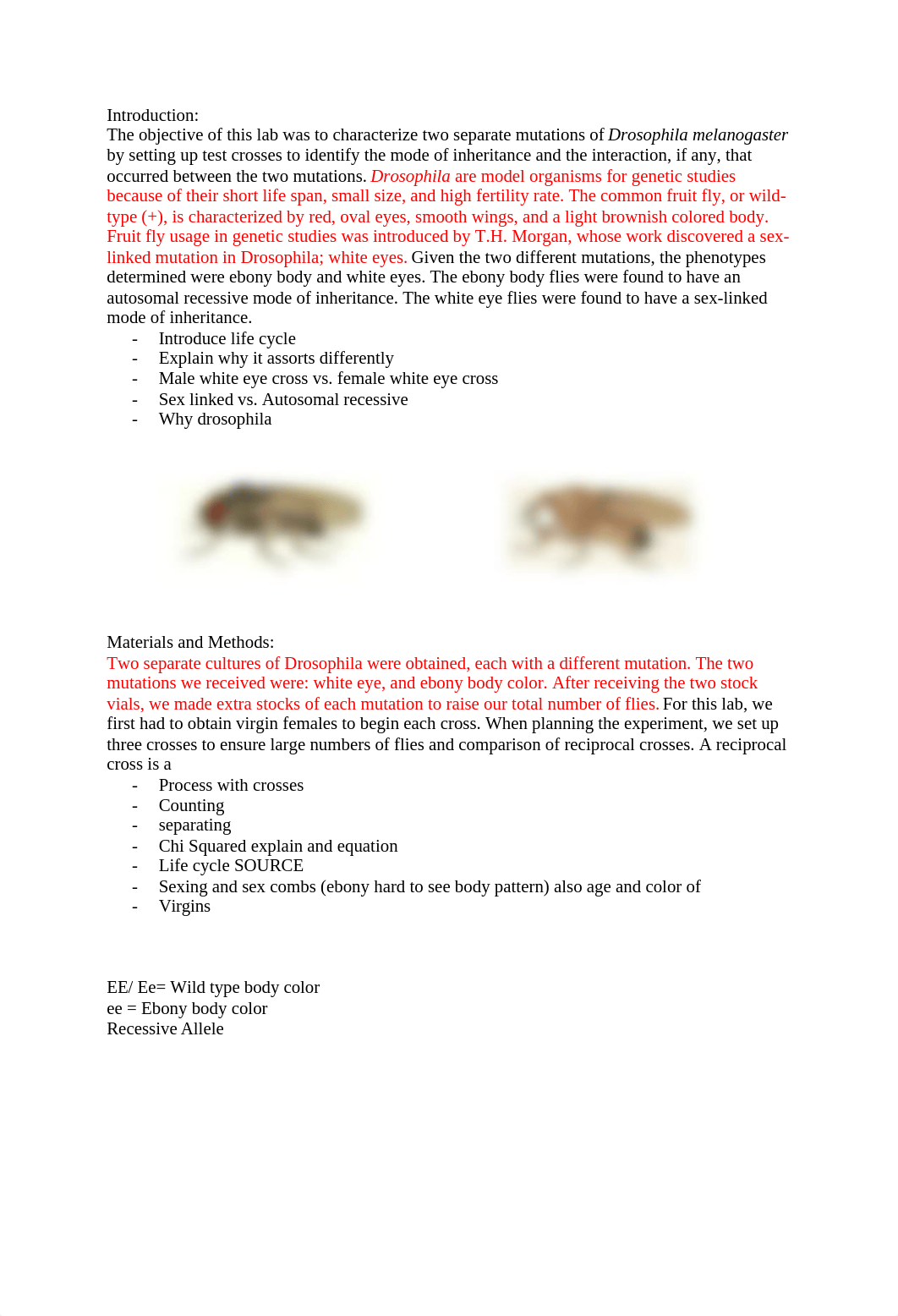 Flies lab report in progress.docx_d298y9pgfyp_page2