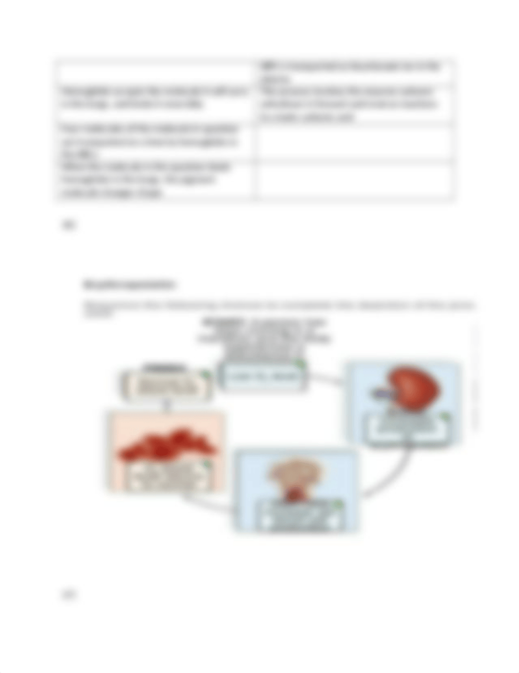 Bio-115 HW chapter 6.docx_d298zc8t0c3_page2