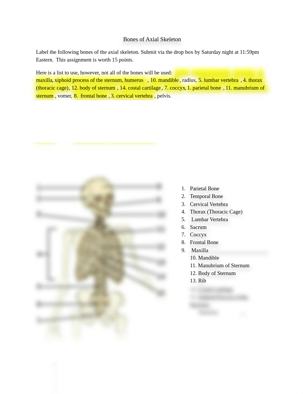 Ax_App_Skeleton_Worksheet .docx_d299yhmx0ee_page1