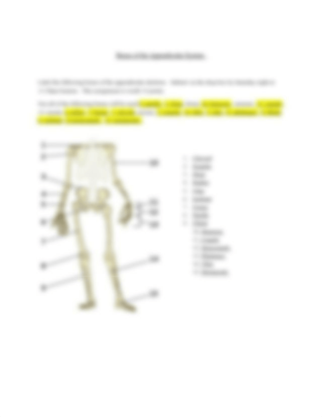 Ax_App_Skeleton_Worksheet .docx_d299yhmx0ee_page2