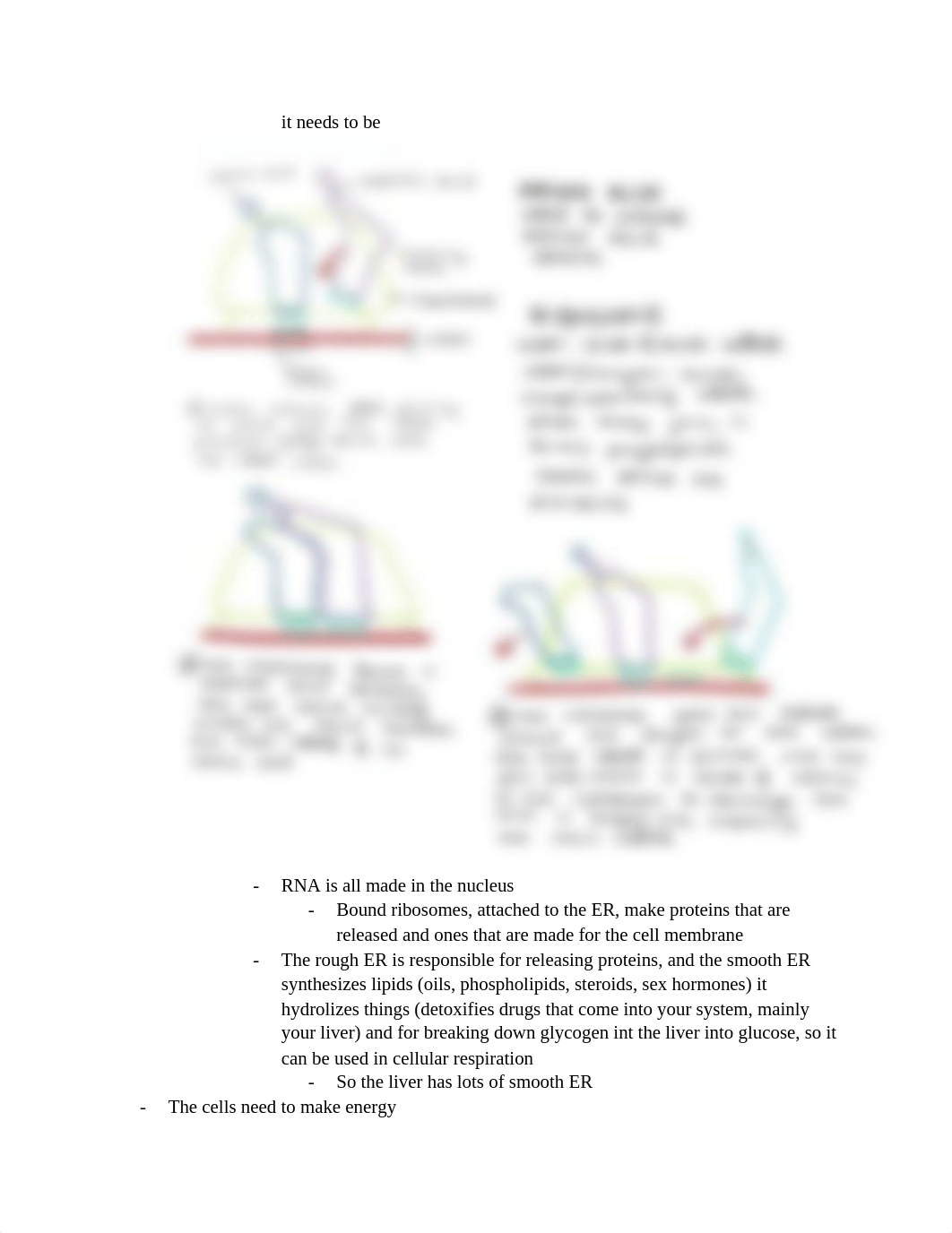 Cell_Structure_and_Function_AP_Bio_d29d2462dyb_page2