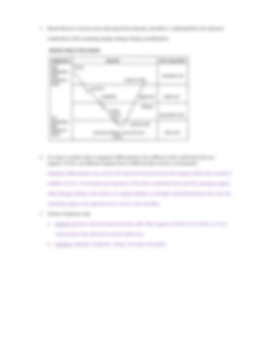 105 test 2 IGNEOUS ROCKS review sheet.docx_d29g6lh0000_page3