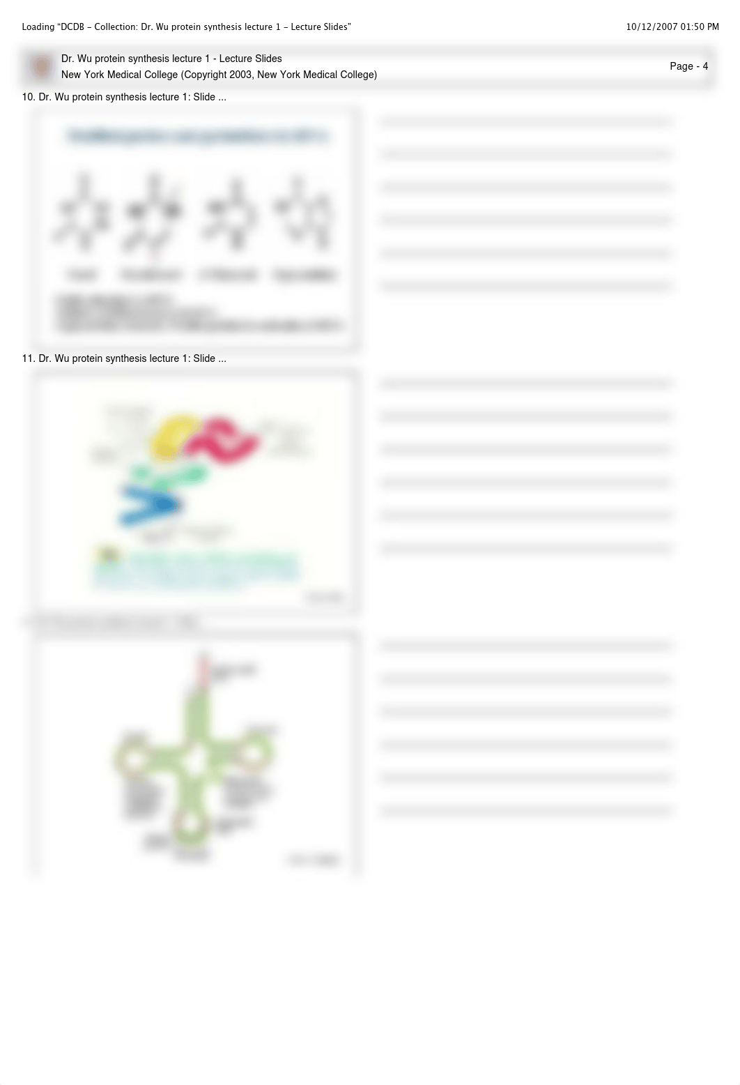 11.01 - Wu - Ribosomes, Genetic Code, tRNA Charging_d29hxqd4a5z_page4