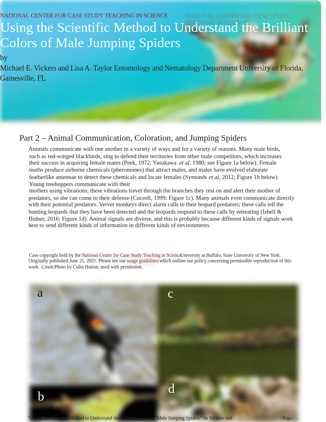 Spiders Activity #1 2.docx_d29mqv1ly65_page1