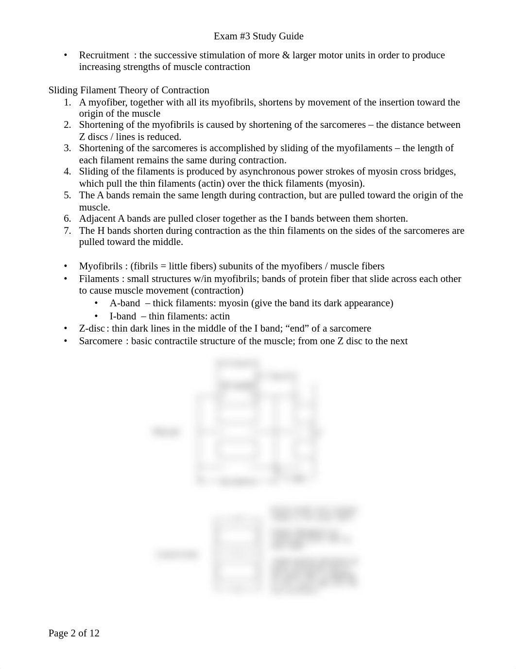 Exam _3 study guide_d29nzg6hn5l_page2