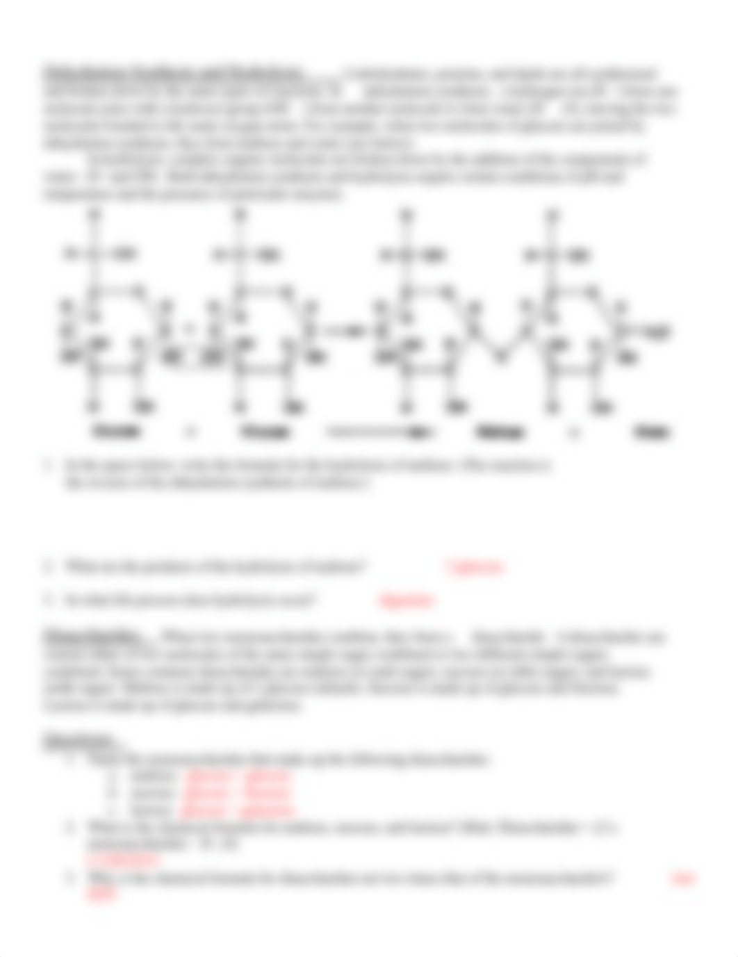 Macromolecules POGIL.doc_d29qitiejcg_page2