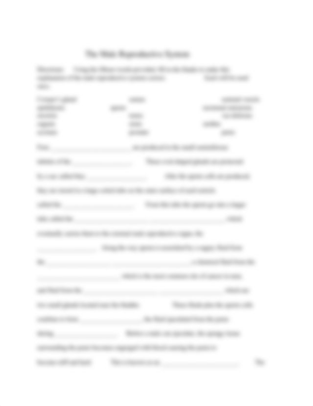 reproductive_system_worksheet-1.doc_d29w1m91ox9_page2