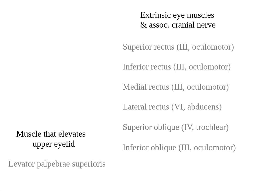 Lab Ch 11 Special Senses_d29x3ybyf7z_page3