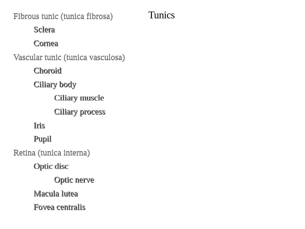 Lab Ch 11 Special Senses_d29x3ybyf7z_page4