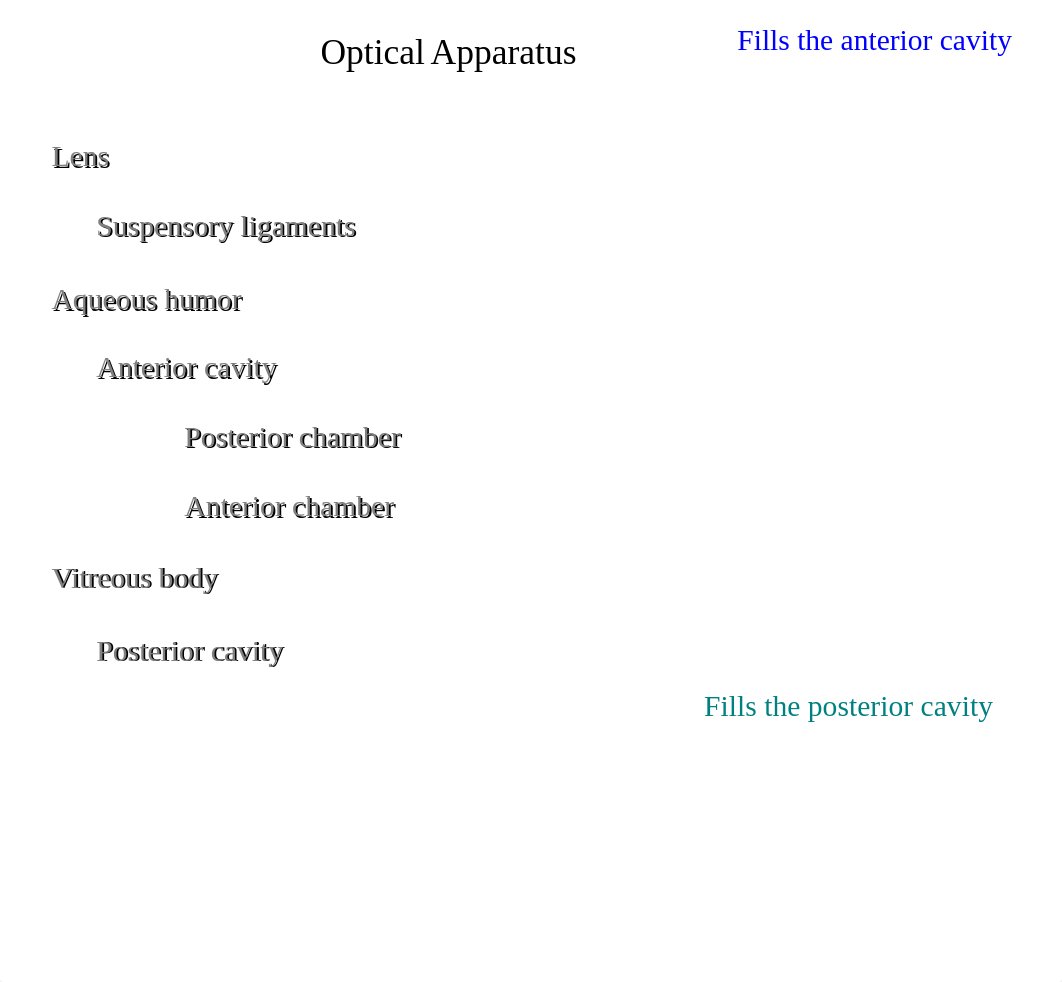 Lab Ch 11 Special Senses_d29x3ybyf7z_page5