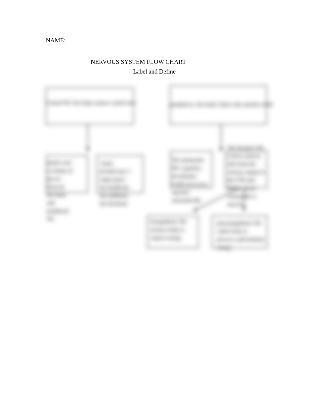 Day 29 Nervous System flow chart (1).pdf_d2a2or8pg7u_page1