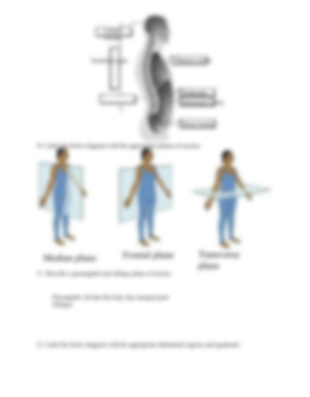 Lab 1 Lab Report Intro and Microscopy.pdf_d2a93pi9sdj_page2