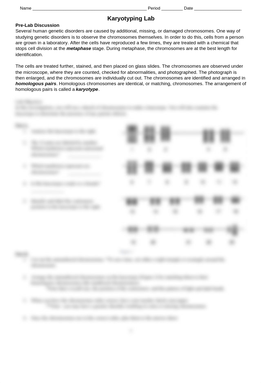 Karyotyping+Lab.docx_d2aa4mi4q3c_page1