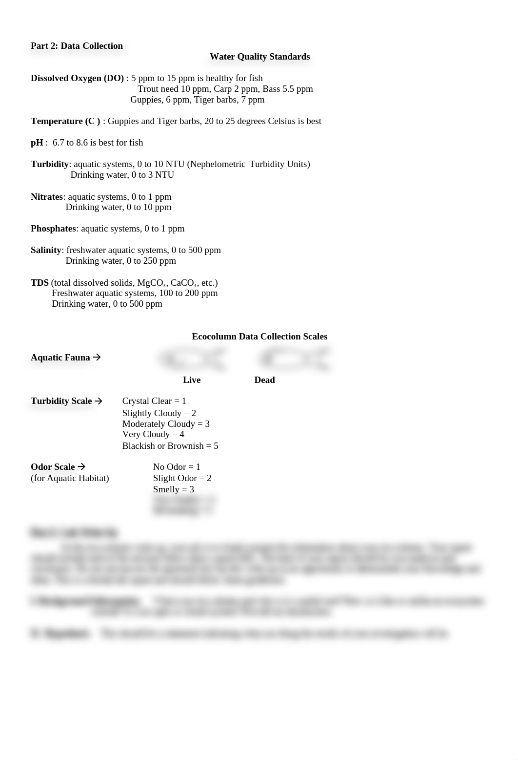 Eco Column Lab .doc_d2ae90nk295_page2