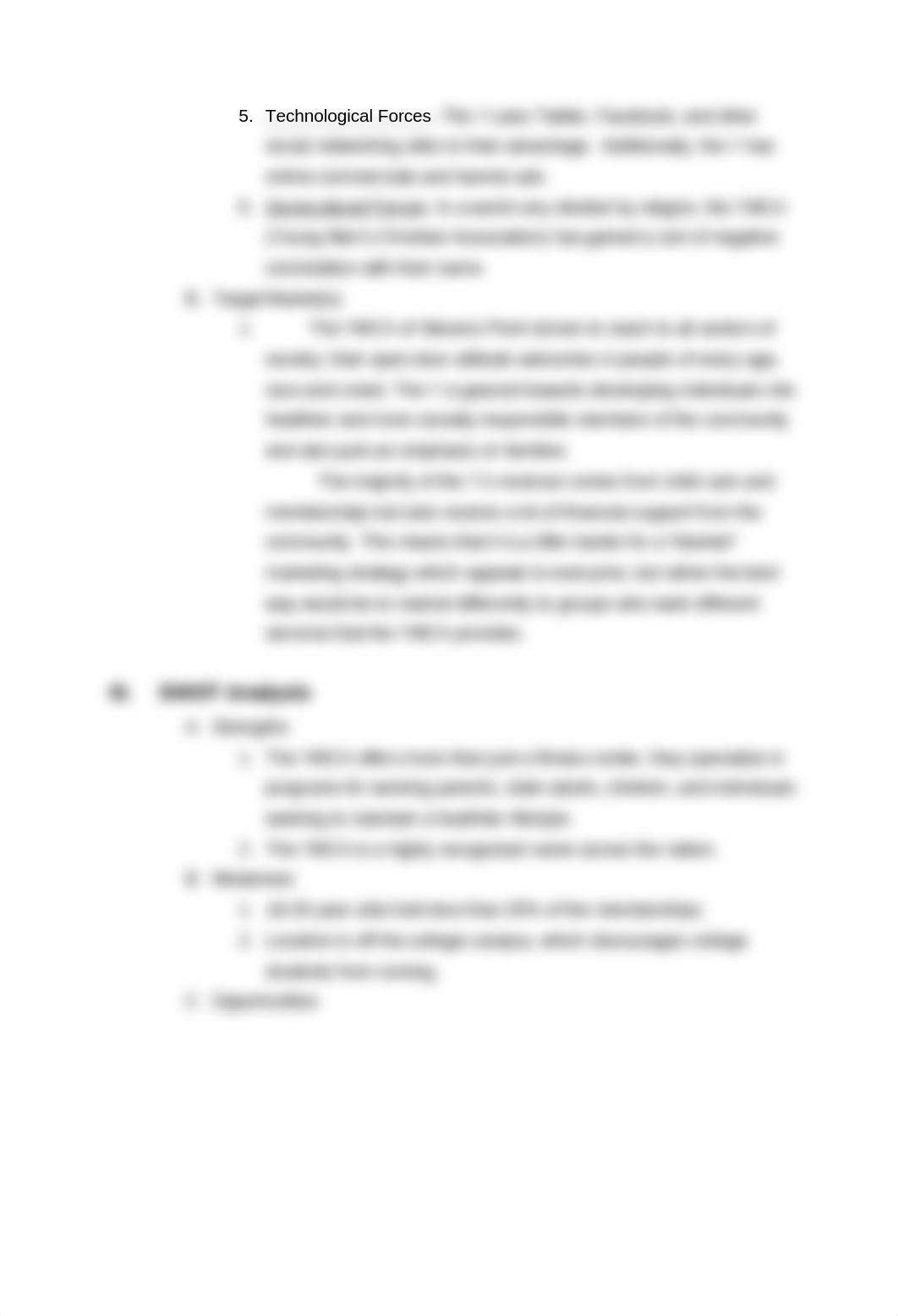 MarketingPlanBus330.docx_d2aicia1n4z_page2