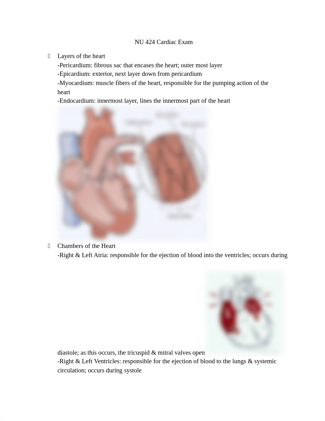 NU 424 Cardiac SG.docx_d2aldipr2r6_page1