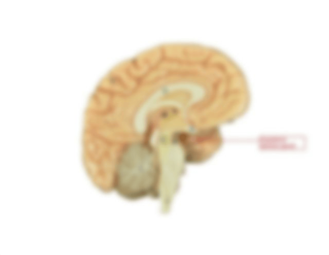 endocrine lab photos F17c.pdf_d2apfin870a_page2