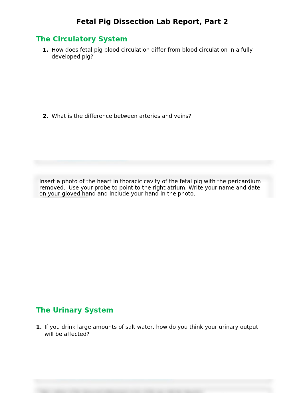 Fetal Pig Dissec_Circ-Urin Lab Report(2)_HMorris.docx_d2aqcqohkp9_page1