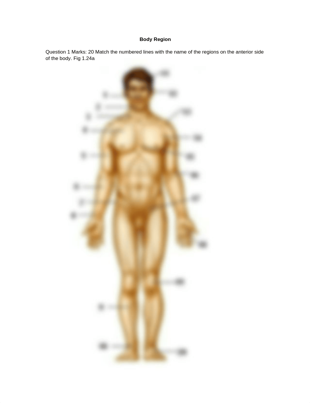 5 Review Body Region, structures, and body cavities_d2atdin0zu4_page1