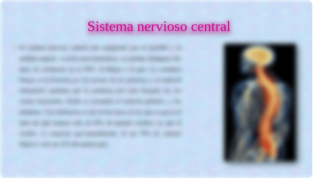 Estructuras que componen el sistema nervioso.pptx_d2avfhsugv2_page3