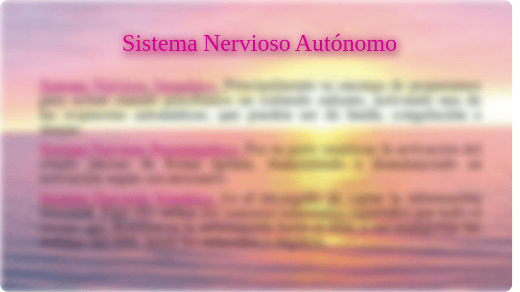 Estructuras que componen el sistema nervioso.pptx_d2avfhsugv2_page5