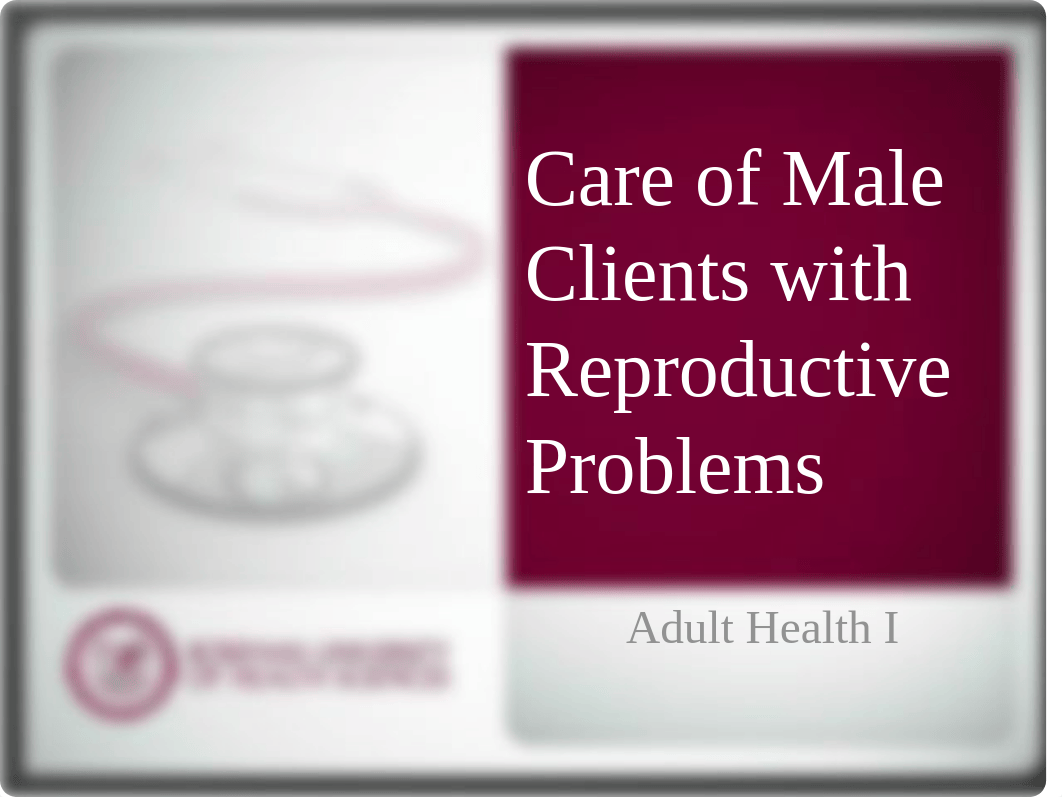 6.5 Care_of_Male_Clients_with_Reproductive_Problems_d2bawbfcodr_page1