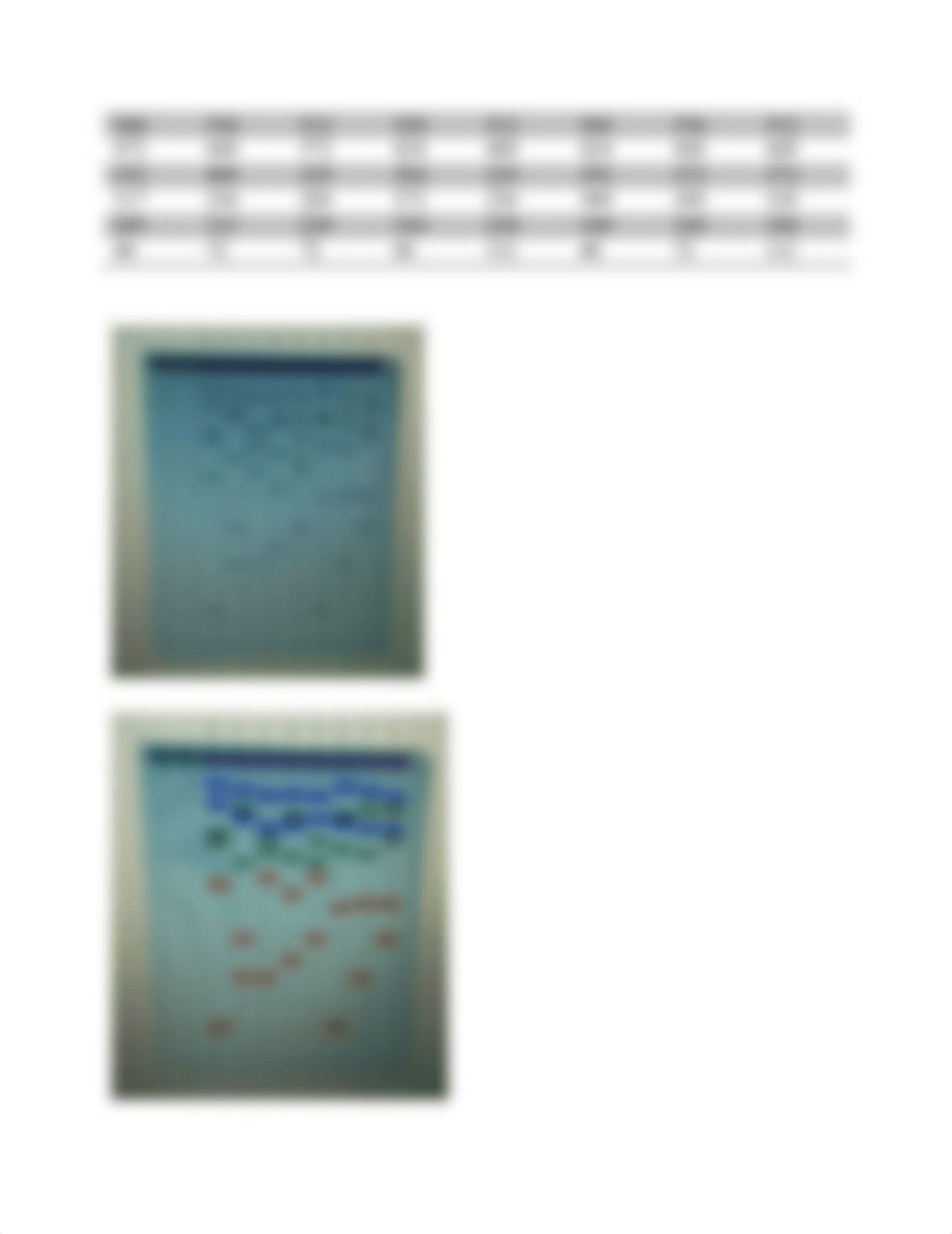 DNA Fingerprinting Lab_d2bedttrn43_page3