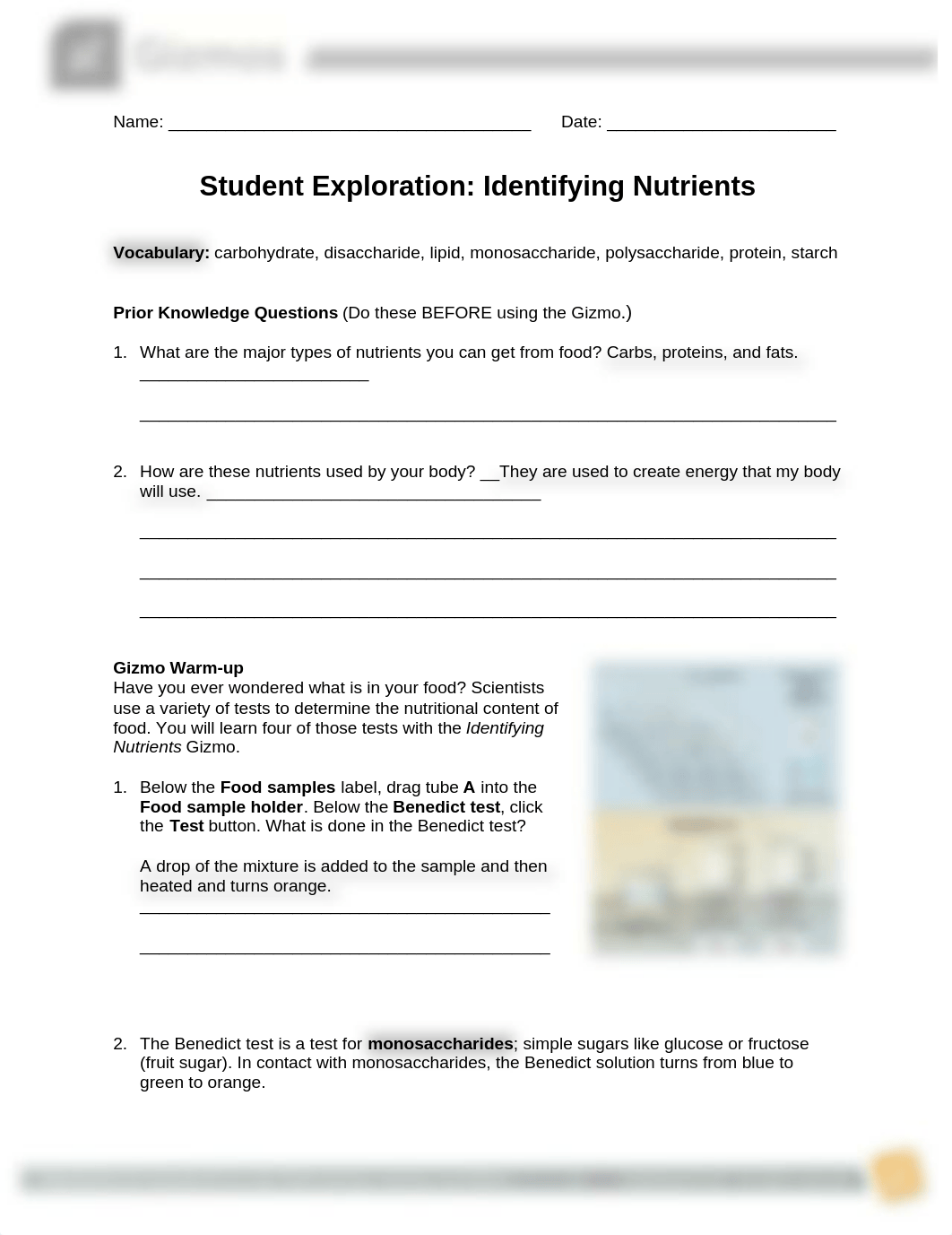 IdentifyingNutrientsSE.docx_d2bffy8bu8c_page1