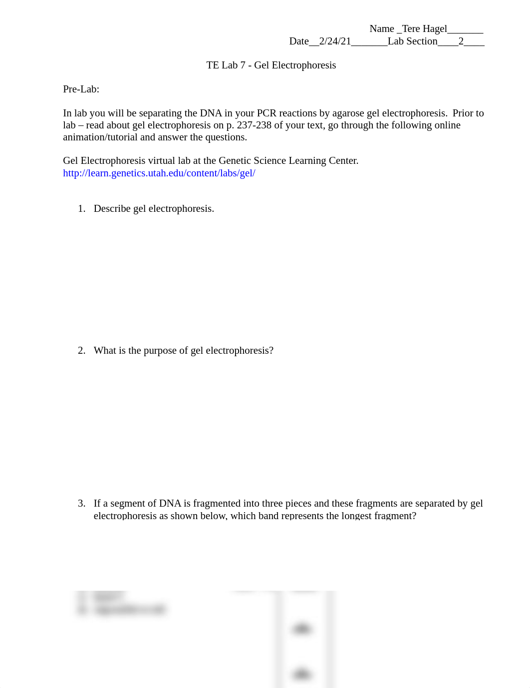 TE Lab 7 Gel Electrophoresis 2021.docx_d2bgfaz2zg7_page1