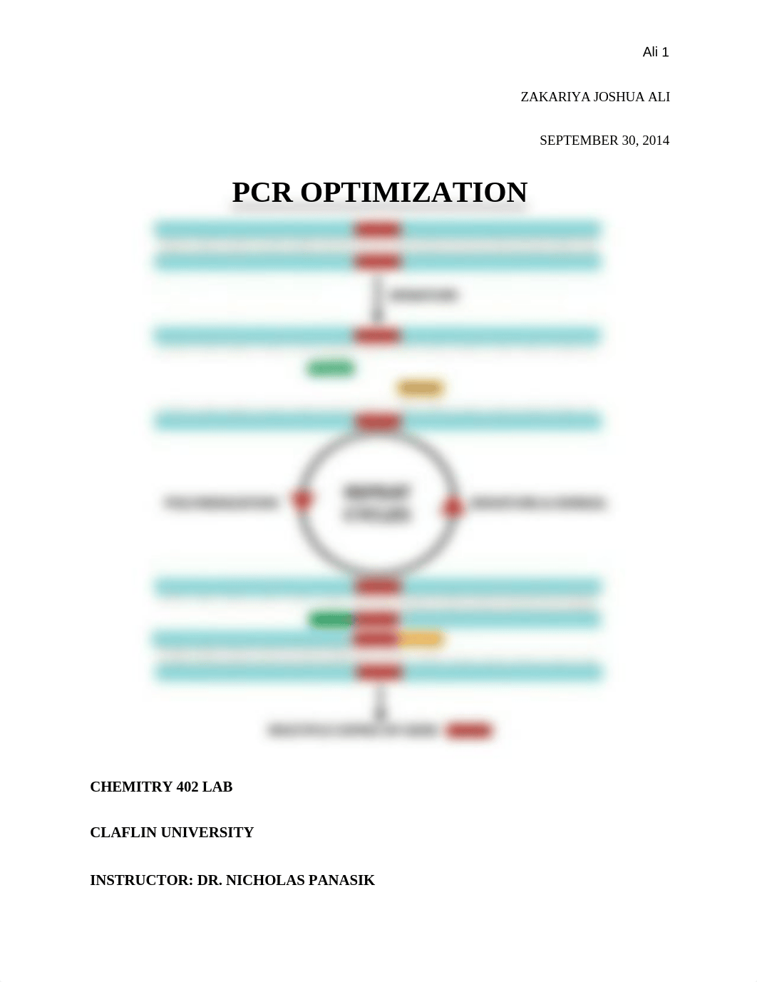 PCR Optimization Lab Report_d2bmwd9jp1k_page1