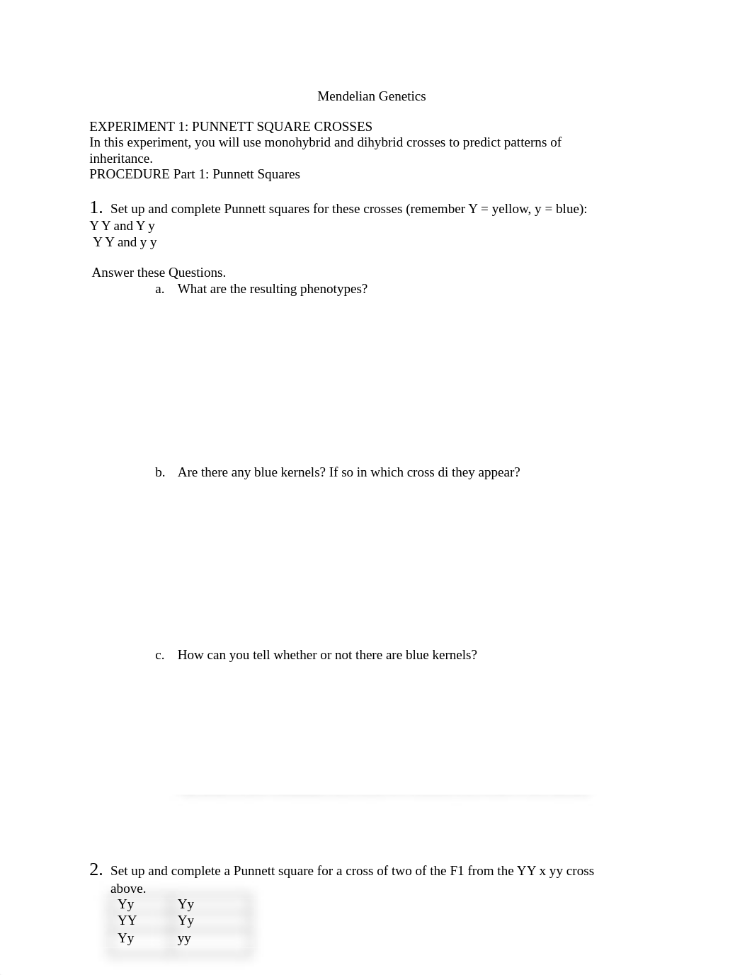 Mendelian Genetics Lab.docx_d2bn8gjsdj2_page1