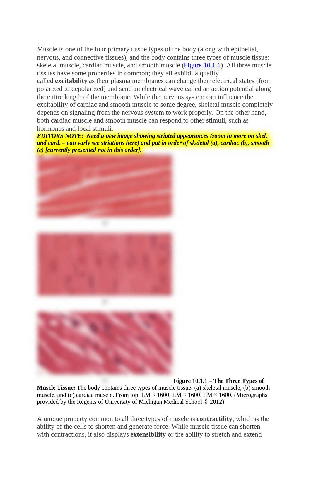 Overview of Muscle Tissues.docx_d2bnxuvslkq_page1