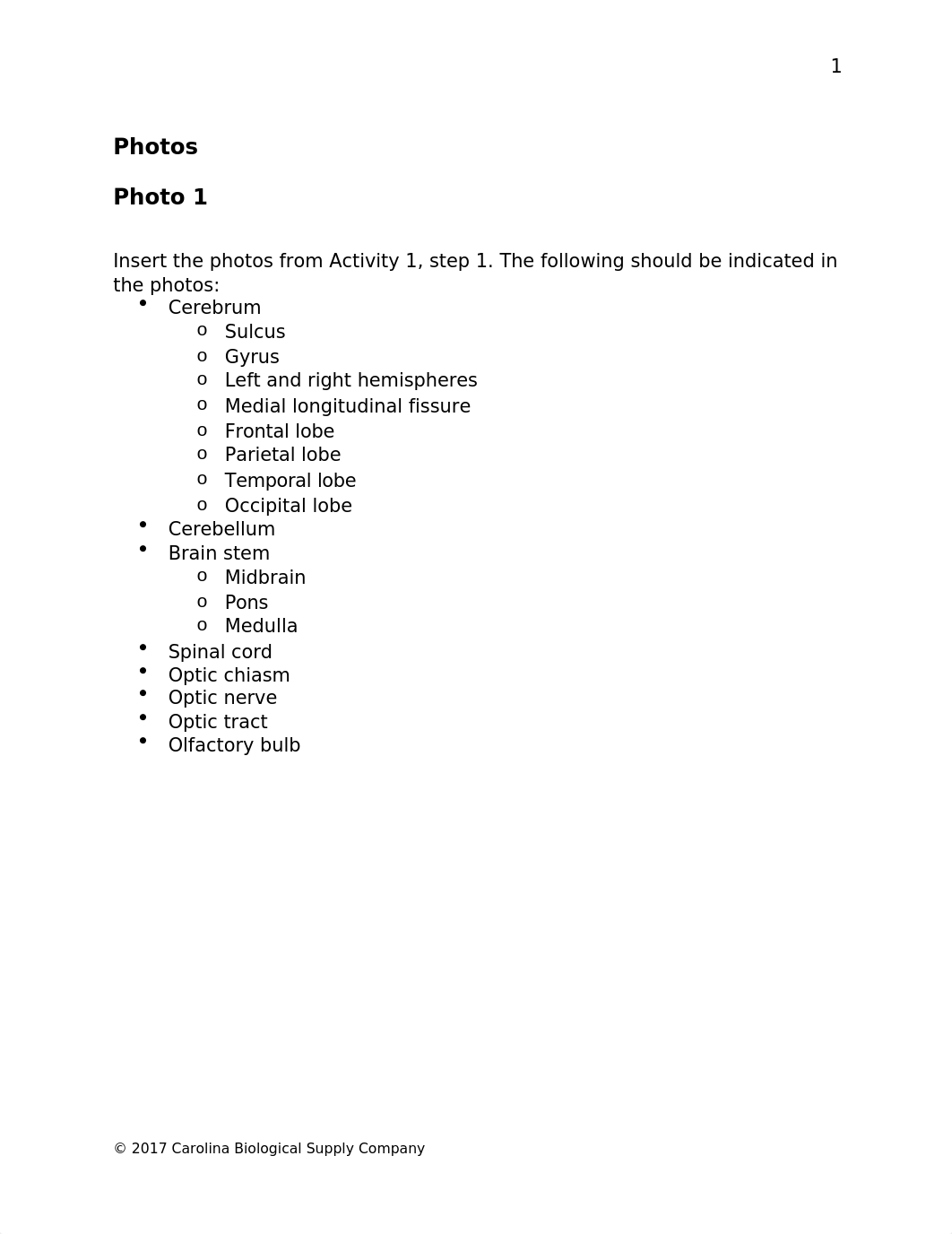 580179 Mammalian Brain Dissection Q.docx_d2bs9u022gi_page2