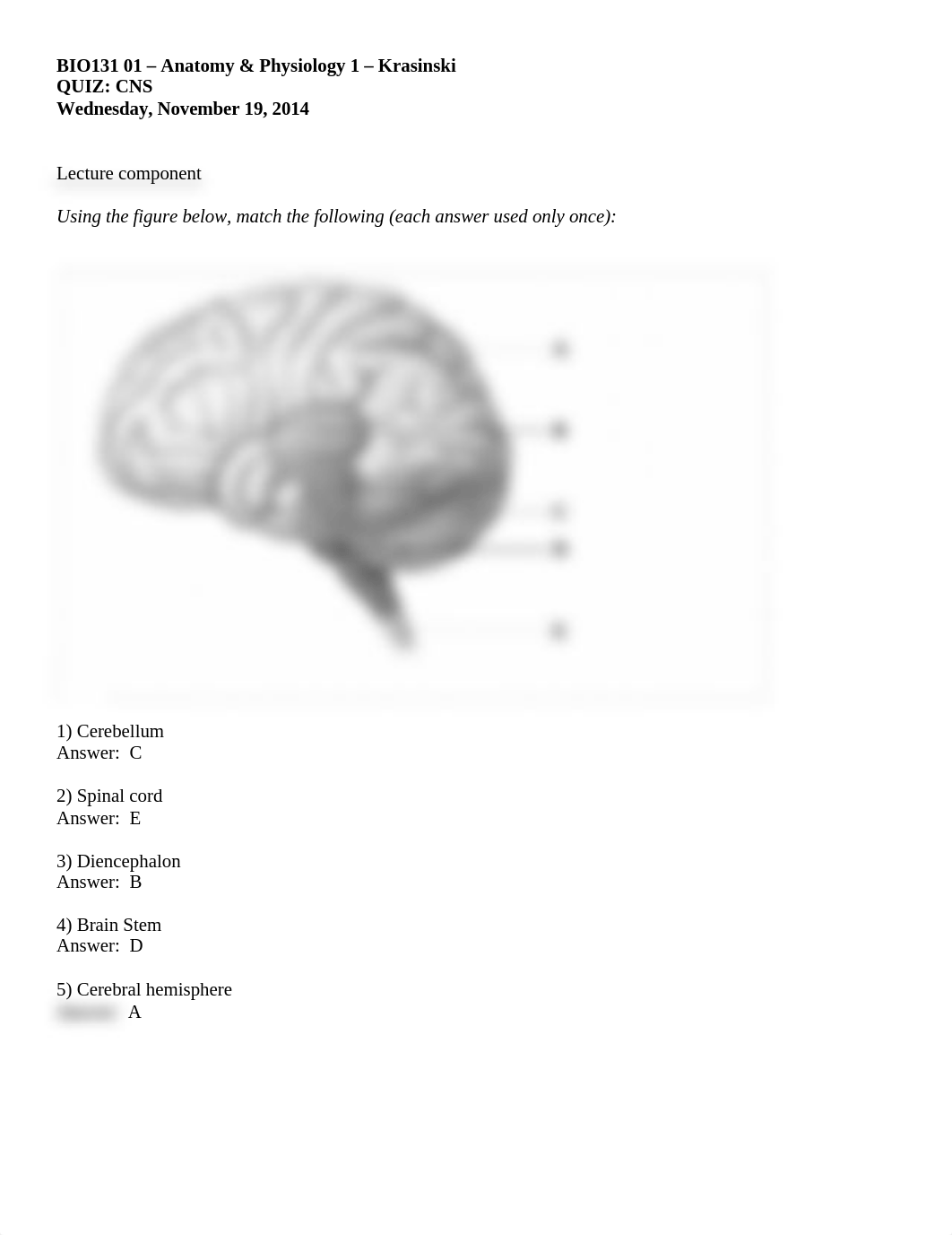 CNS_Quiz_answers.doc_d2bsjxkrrr5_page1