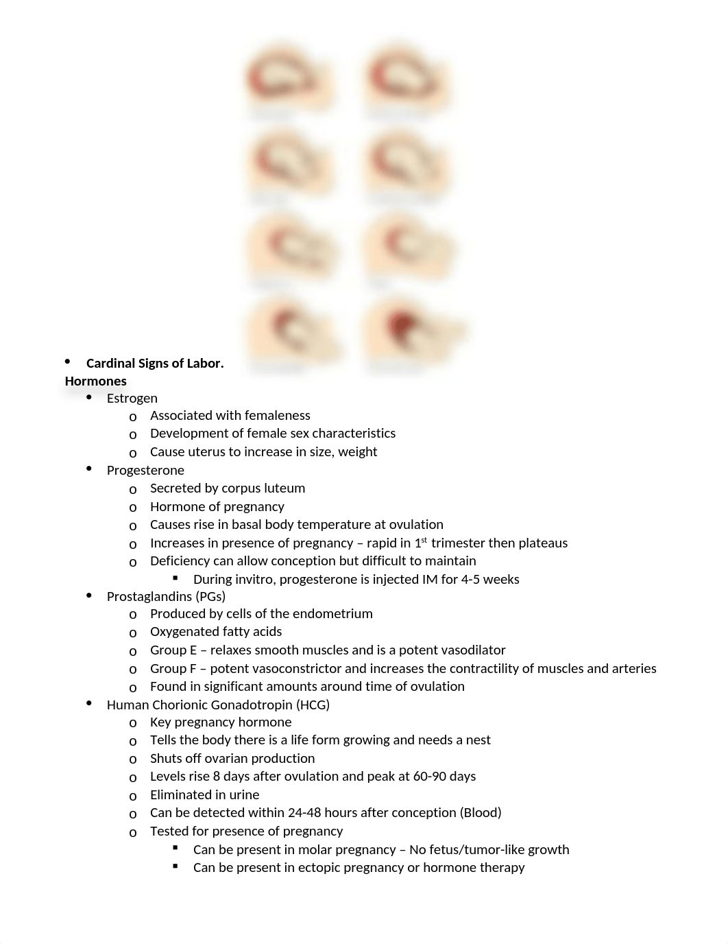 OB Study Guide.docx_d2c1n282lwh_page2