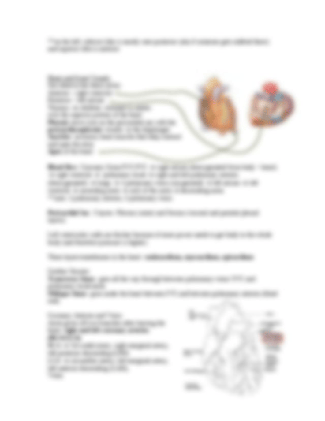 Anatomy Lecture Notes-midtern review_d2c7gw3ewsx_page3