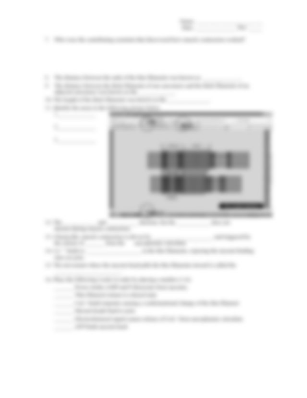 Muscle Contraction Worksheet_d2cauuot9cr_page3